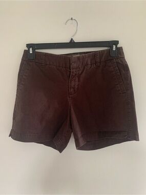 Sonoma Classic Cotton Blend Women's Shorts in Dark Brown